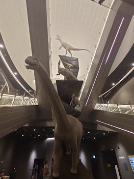 福井県立恐竜博物館に投稿された画像（2023/8/18）