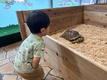 いきもの探検隊上尾に投稿された画像（2023/8/18）