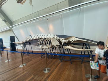 環境水族館アクアマリンふくしまに投稿された画像（2023/8/18）