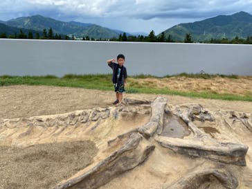 福井県立恐竜博物館に投稿された画像（2023/8/18）