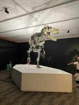 DinoScience 恐竜科学博 2023@TOKYO MIDTOWNに投稿された画像（2023/8/18）