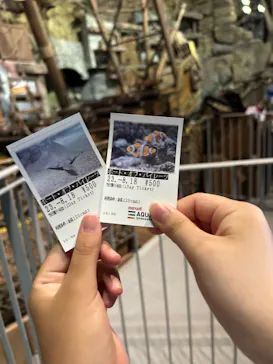 マクセル アクアパーク品川に投稿された画像（2023/8/18）