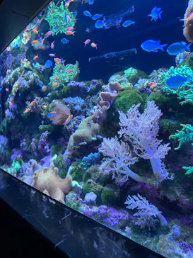 マクセル アクアパーク品川に投稿された画像（2023/8/18）