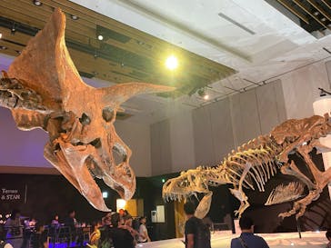DinoScience 恐竜科学博 2023@TOKYO MIDTOWNに投稿された画像（2023/8/18）