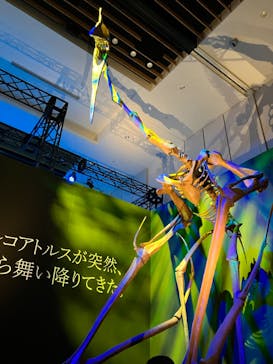 DinoScience 恐竜科学博 2023@TOKYO MIDTOWNに投稿された画像（2023/8/18）
