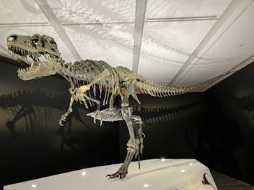 DinoScience 恐竜科学博 2023@TOKYO MIDTOWNに投稿された画像（2023/8/18）