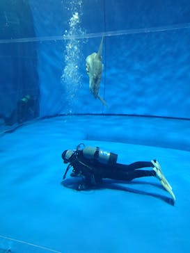 アクアワールド茨城県大洗水族館に投稿された画像（2023/8/18）