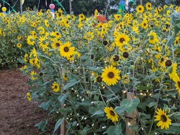 せんだい農業園芸センター　みどりの杜に投稿された画像（2023/8/18）