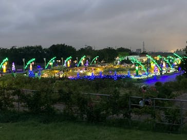 せんだい農業園芸センター　みどりの杜に投稿された画像（2023/8/18）