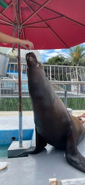 南知多ビーチランド＆南知多おもちゃ王国に投稿された画像（2023/8/18）