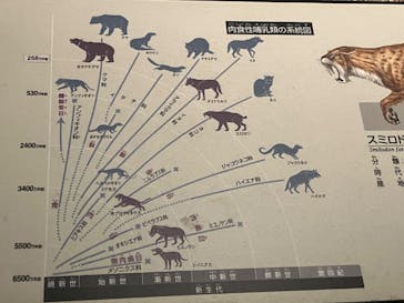 国立科学博物館に投稿された画像（2023/8/18）