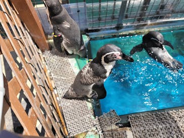 伊豆・三津シーパラダイスに投稿された画像（2023/8/18）