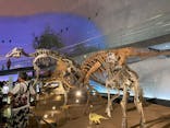 福井県立恐竜博物館に投稿された画像（2023/8/18）