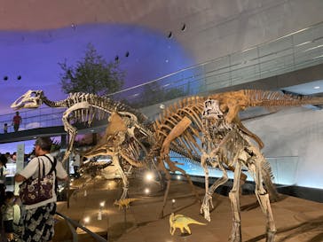 福井県立恐竜博物館に投稿された画像（2023/8/18）