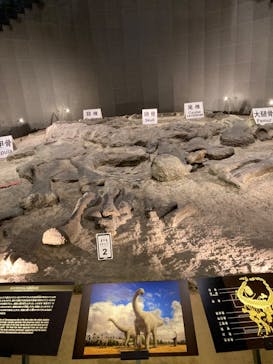 福井県立恐竜博物館に投稿された画像（2023/8/18）