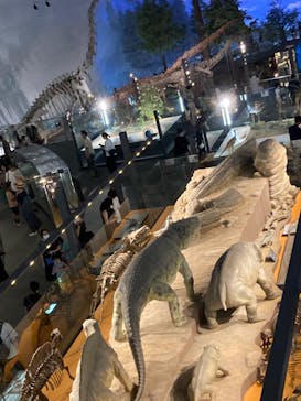 福井県立恐竜博物館に投稿された画像（2023/8/18）