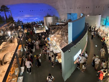 福井県立恐竜博物館に投稿された画像（2023/8/18）