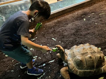 体感型動物園iZooに投稿された画像（2023/8/18）