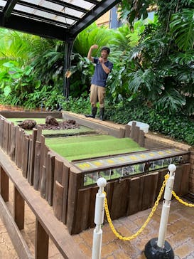 体感型動物園iZooに投稿された画像（2023/8/18）