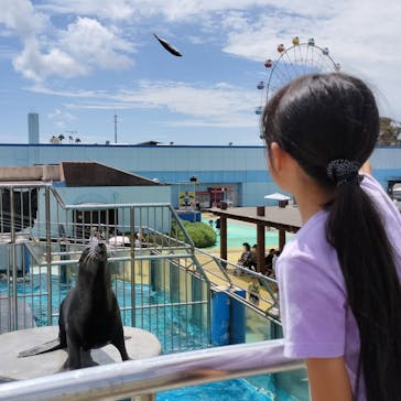 南知多ビーチランド＆南知多おもちゃ王国に投稿された画像（2023/8/18）