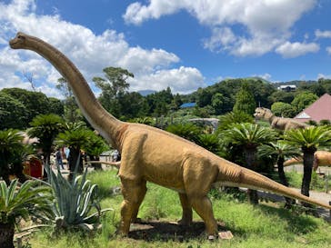 伊豆ぐらんぱる公園に投稿された画像（2023/8/18）