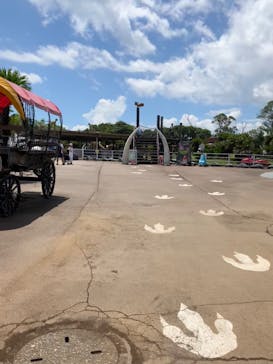 伊豆ぐらんぱる公園に投稿された画像（2023/8/18）