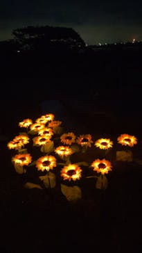 せんだい農業園芸センター　みどりの杜に投稿された画像（2023/8/18）