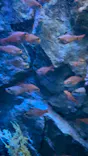 名古屋港水族館に投稿された画像（2023/8/18）