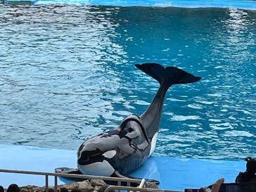 名古屋港水族館に投稿された画像（2023/8/18）