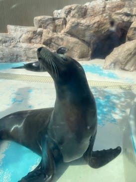 サンシャイン水族館に投稿された画像（2023/8/18）