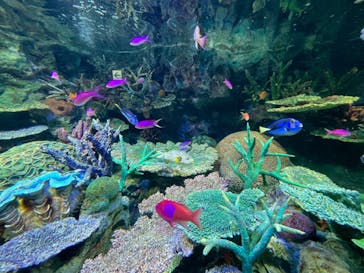 サンシャイン水族館に投稿された画像（2023/8/18）