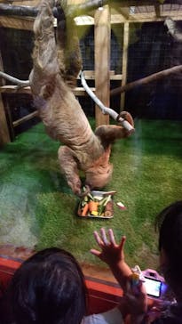 ぶっとんでるいきもの展に投稿された画像（2023/8/18）