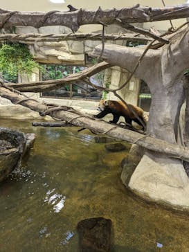 那須どうぶつ王国に投稿された画像（2023/8/18）