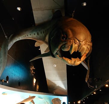 環境水族館アクアマリンふくしまに投稿された画像（2023/8/18）