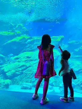 仙台うみの杜水族館に投稿された画像（2023/8/18）