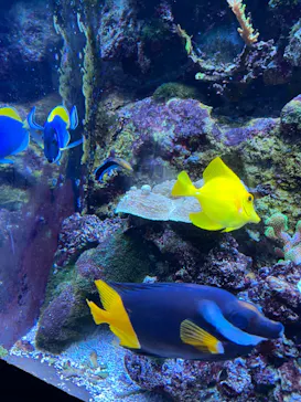 マクセル アクアパーク品川に投稿された画像（2023/8/18）