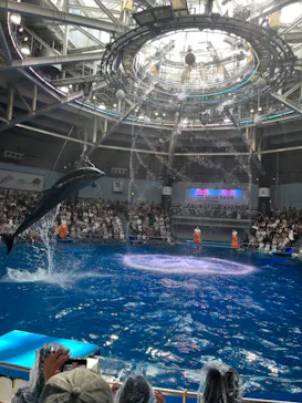 マクセル アクアパーク品川に投稿された画像（2023/8/18）