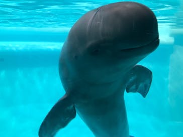 マリンワールド海の中道に投稿された画像（2023/8/18）