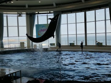 アクアワールド茨城県大洗水族館に投稿された画像（2023/8/18）
