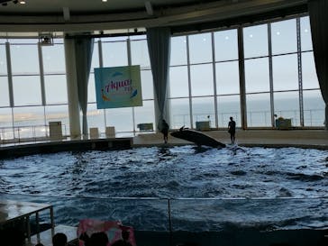 アクアワールド茨城県大洗水族館に投稿された画像（2023/8/18）