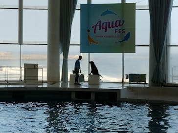 アクアワールド茨城県大洗水族館に投稿された画像（2023/8/18）