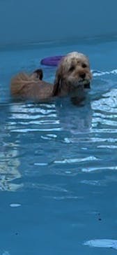 わんダフルネイチャーヴィレッジに投稿された画像（2023/8/18）