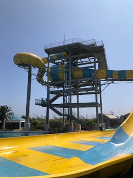 蓮沼ウォーターガーデンに投稿された画像（2023/8/18）