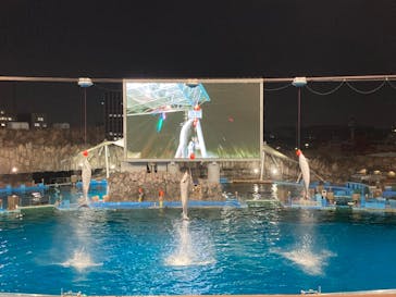 名古屋港水族館に投稿された画像（2023/8/18）