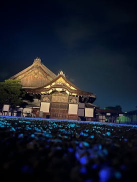 NAKED meets 二条城 2025 観月に投稿された画像（2023/8/18）