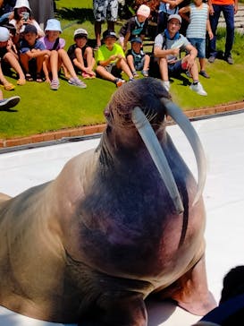 南知多ビーチランド＆南知多おもちゃ王国に投稿された画像（2023/8/18）