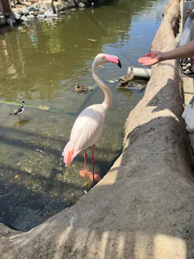 神戸どうぶつ王国に投稿された画像（2023/8/18）