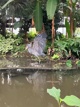 神戸どうぶつ王国に投稿された画像（2023/8/18）