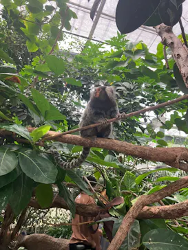 神戸どうぶつ王国に投稿された画像（2023/8/18）