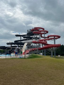 芝政ワールドに投稿された画像（2023/8/18）